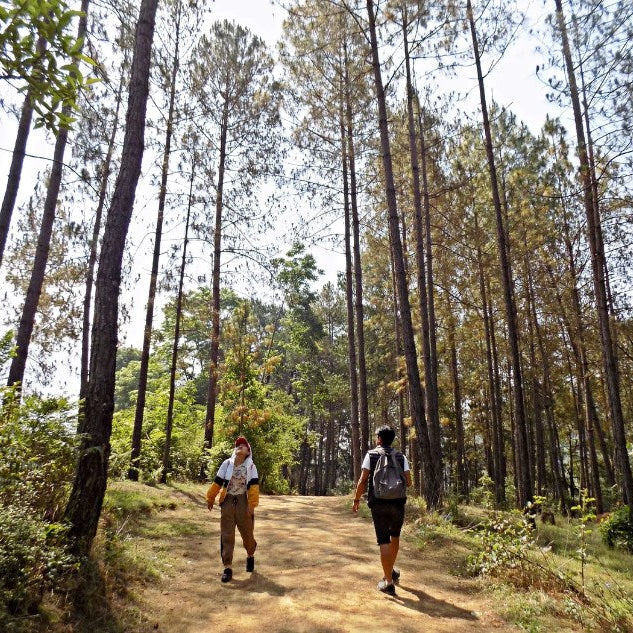 Hiking Etiquette: 7 Basic Rules To Keep In Mind