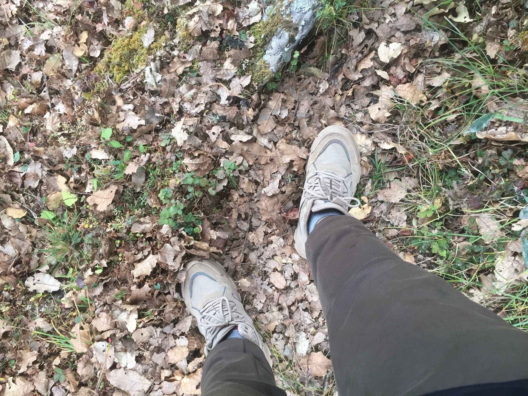 Reasons to go fall hiking