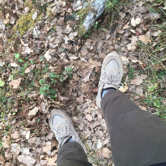 Reasons to go fall hiking