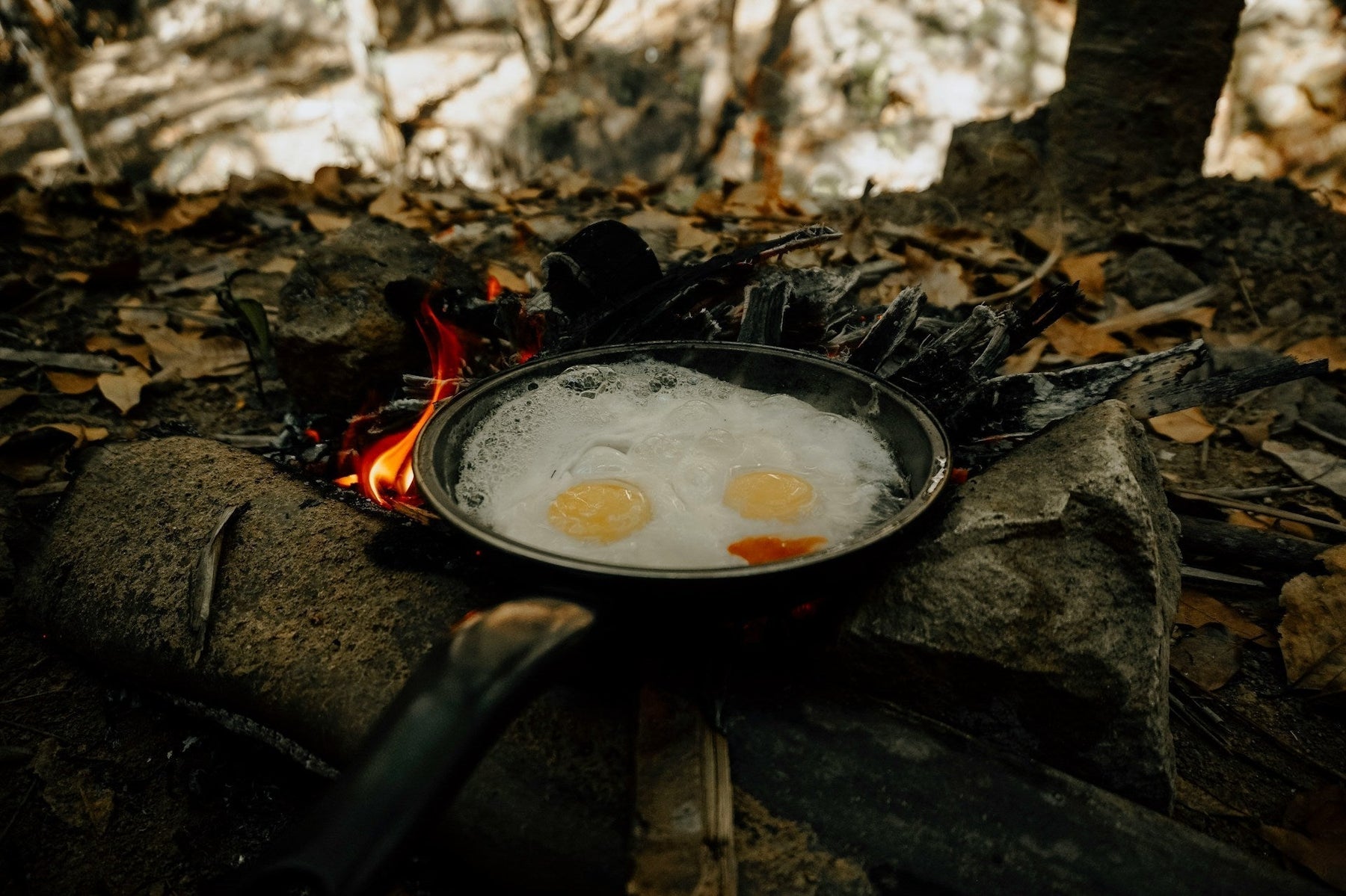 8 Delicious Camp Fire Cooking Recipes for 2025