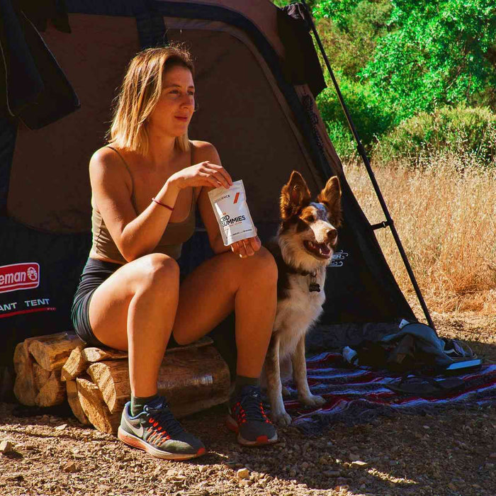 tips for camping with dogs