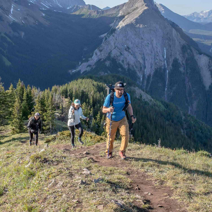 Do walking sticks help with knee pain?