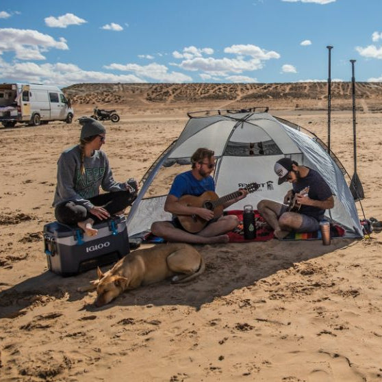 dog friendly campsites