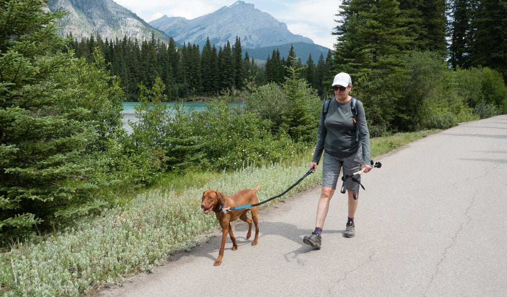 DOG-FRIENDLY CAMPSITES IN CANADA