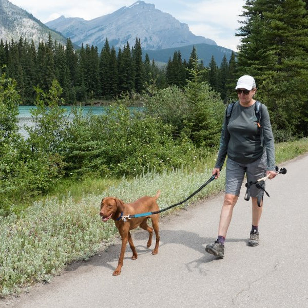 DOG-FRIENDLY CAMPSITES IN CANADA