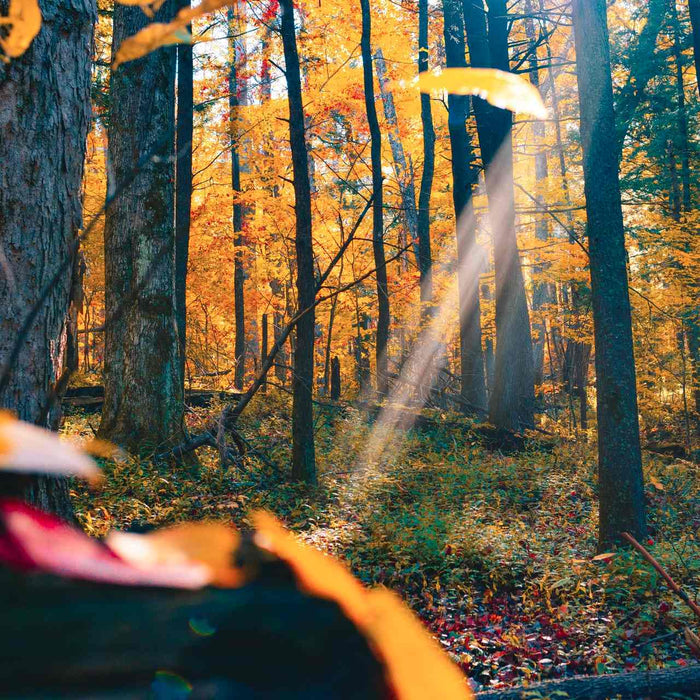 Fall Hiking Destinations In The US