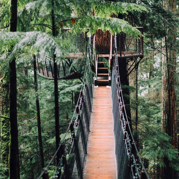 Glamping In Canada: Top 5 Glamping Sites In Canada