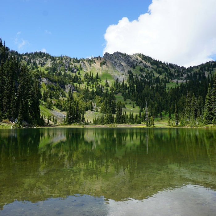 10 Best Hiking Trails in Washington for 2025