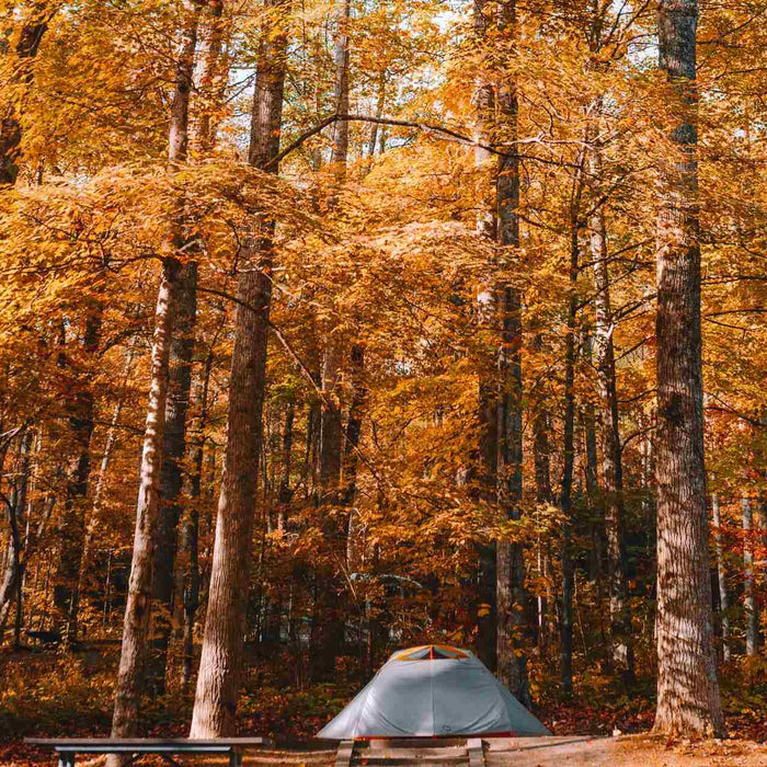 How To Enjoy Your Fall Camping Trip To The Fullest?