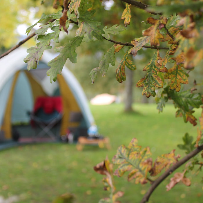 Top 5 Fall Camping Destinations In The UK