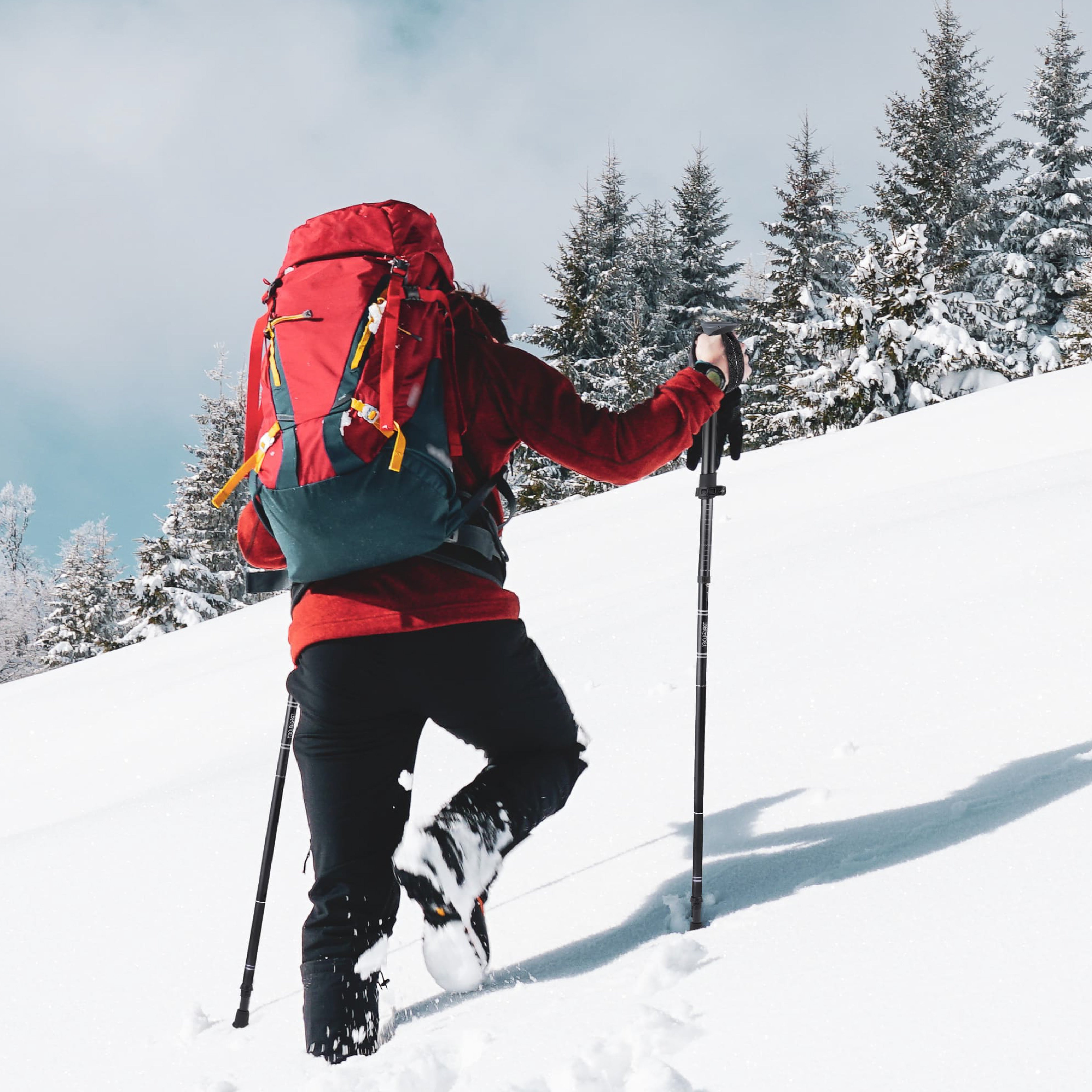 Novagoodes TREK-Z XE FOLDABLE TREKKING HIKING POLE SET 2PCS WITH 6 TIPS (US)